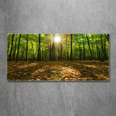 Quadro in verde Foresta