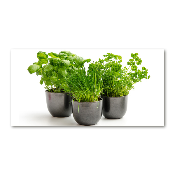 Quadro vetro Erbe aromatiche in vaso