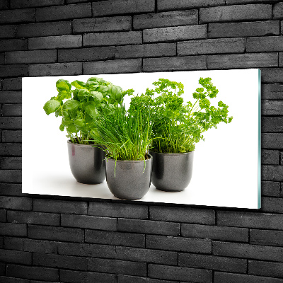 Quadro vetro Erbe aromatiche in vaso