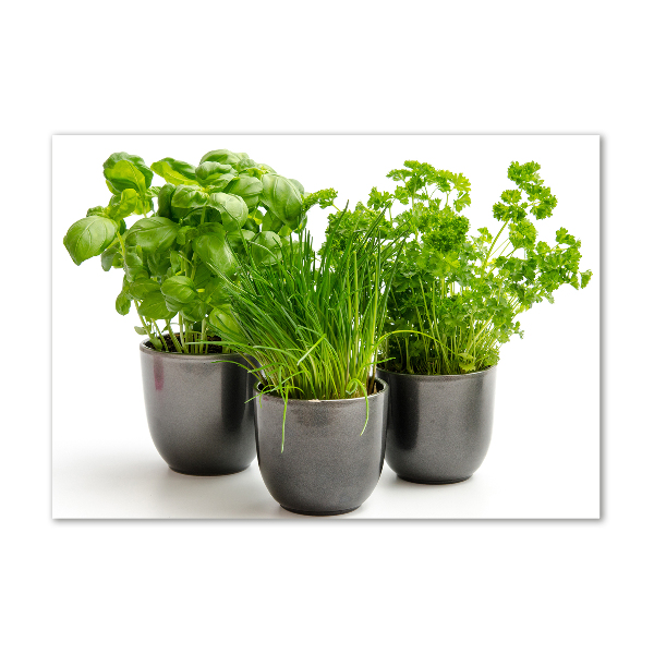 Quadro vetro Erbe aromatiche in vaso