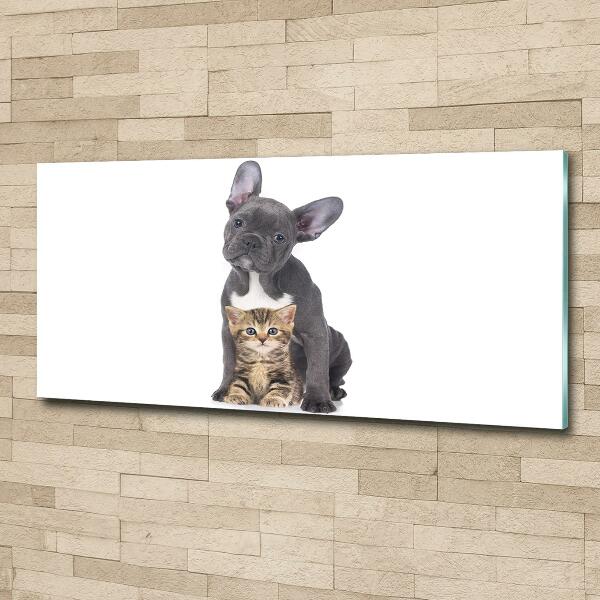 Quadro vetro Cane e gatto