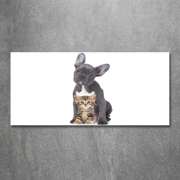Quadro vetro Cane e gatto