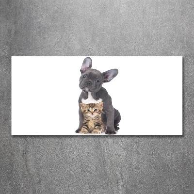 Quadro vetro Cane e gatto