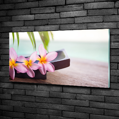 Quadro in vetro Plumeria
