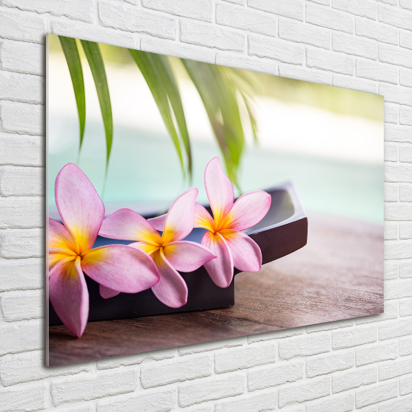 Quadro in vetro Plumeria