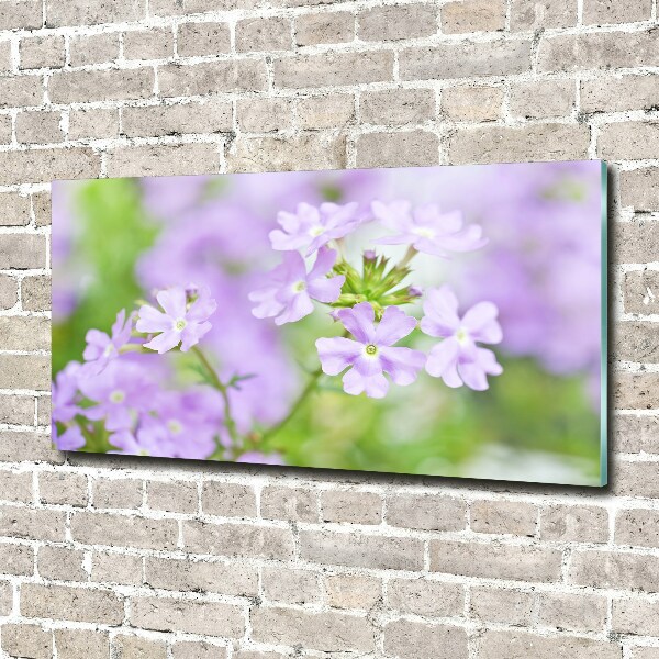 Quadro in verde Verbena
