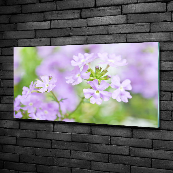 Quadro in verde Verbena