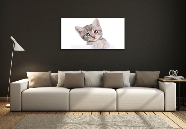 Quadro su vetro Gatto grigio