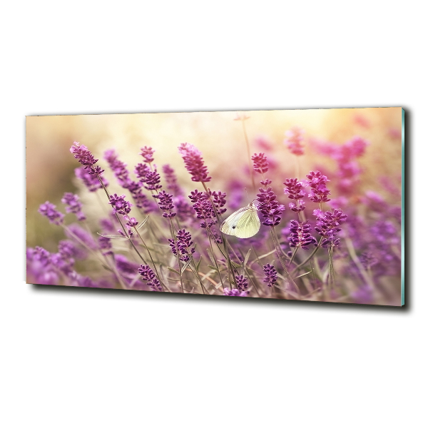 Quadro vetro Lavanda