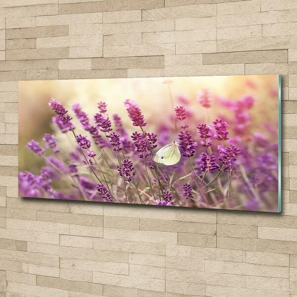 Quadro vetro Lavanda