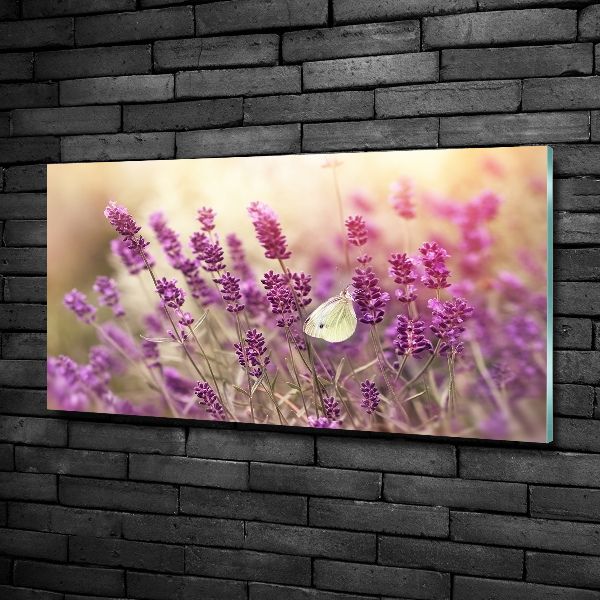 Quadro vetro Lavanda
