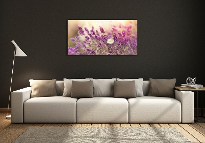 Quadro vetro Lavanda