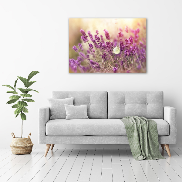 Quadro vetro Lavanda