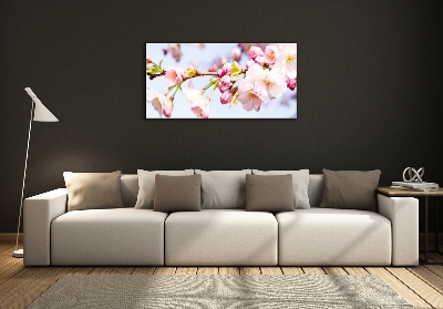 Quadro su vetro Fiori di ciliegio