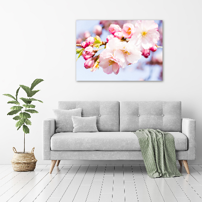 Quadro su vetro Fiori di ciliegio