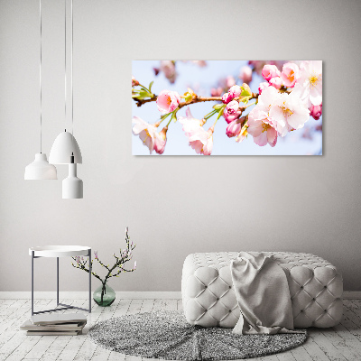 Quadro su vetro Fiori di ciliegio