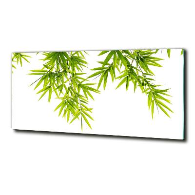 Quadro vetro Foglie di bambù