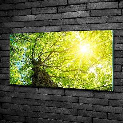 Quadro in verde Castagna in primavera