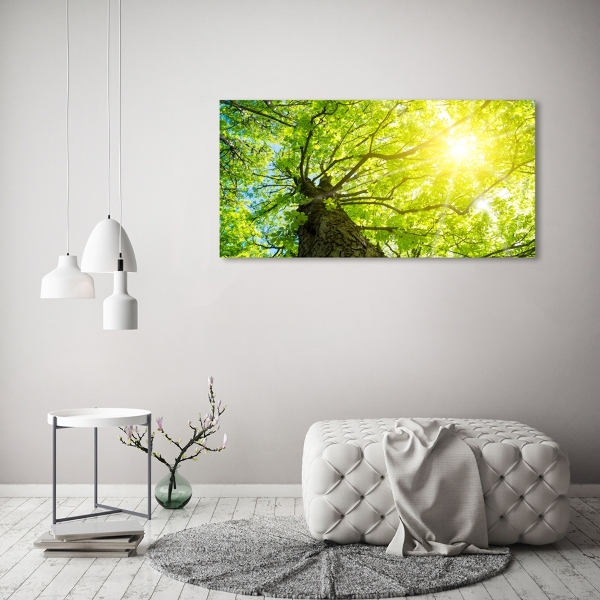 Quadro in verde Castagna in primavera