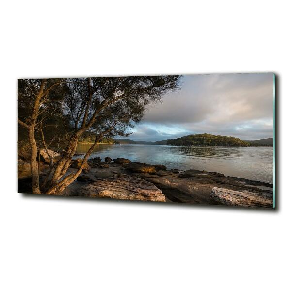 Quadro su vetro Un albero in riva al fiume