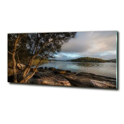 Quadro su vetro Un albero in riva al fiume