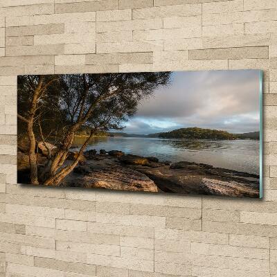 Quadro su vetro Un albero in riva al fiume