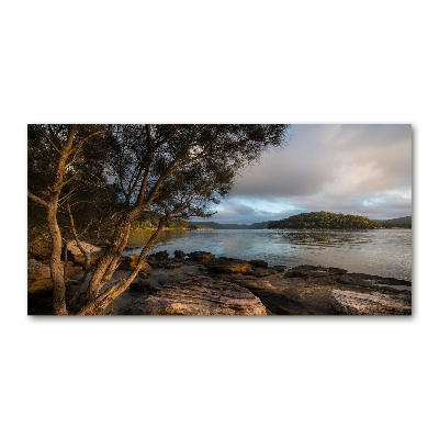 Quadro su vetro Un albero in riva al fiume