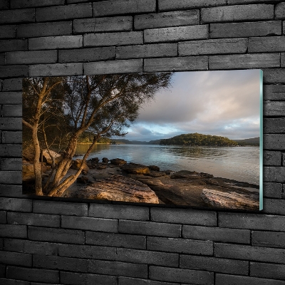 Quadro su vetro Un albero in riva al fiume