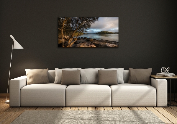 Quadro su vetro Un albero in riva al fiume