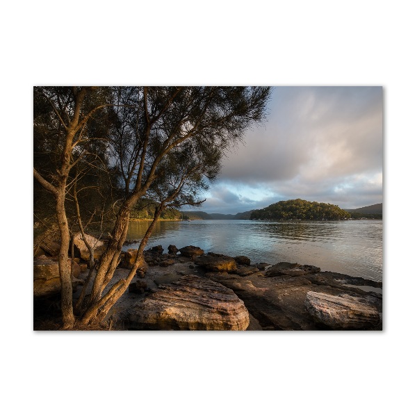 Quadro su vetro Un albero in riva al fiume