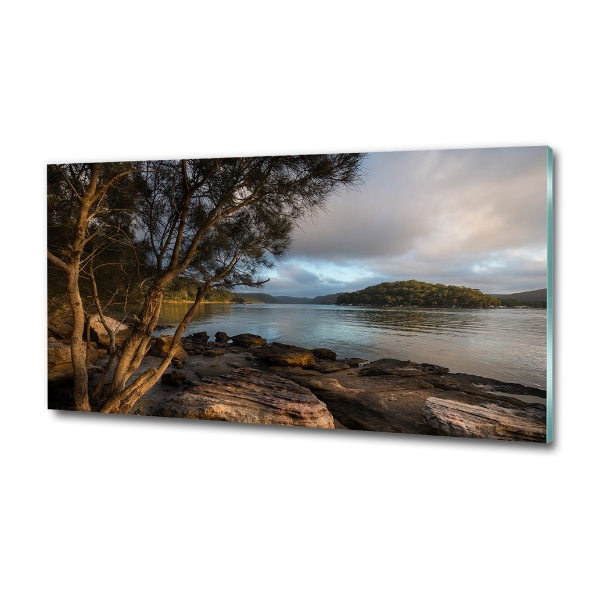 Quadro su vetro Un albero in riva al fiume