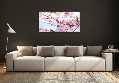Quadro su vetro Fiori di ciliegio