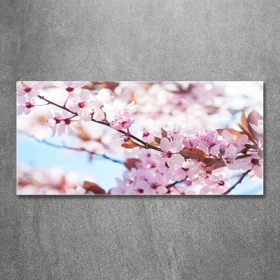 Quadro su vetro Fiori di ciliegio