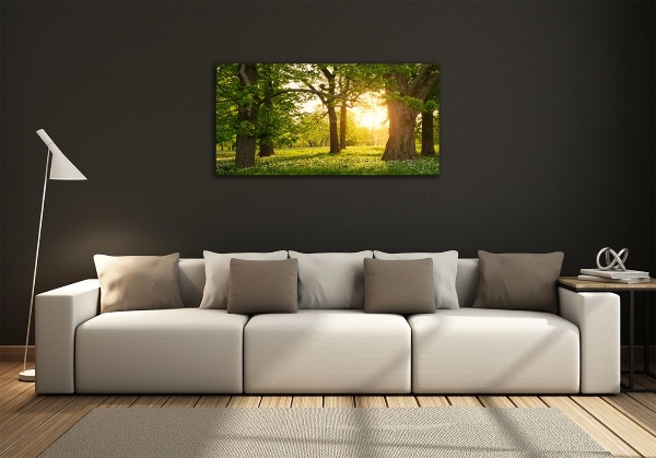 Quadro su vetro Alberi nel parco