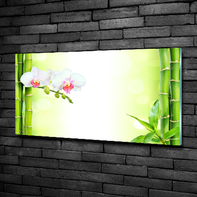 Quadro vetro Orchidea e bambù