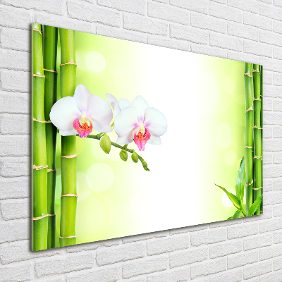 Quadro vetro Orchidea e bambù