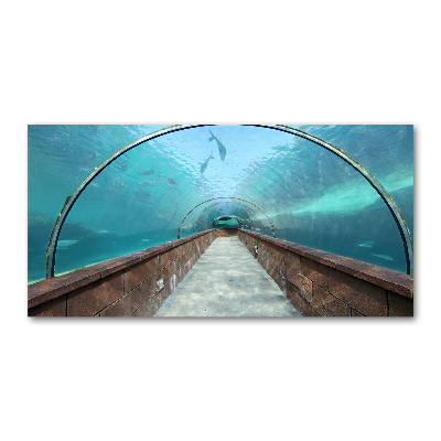 Quadro su vetro Tunnel dell'acquario