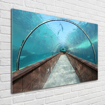 Quadro su vetro Tunnel dell'acquario