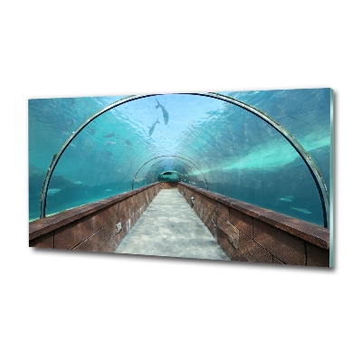 Quadro su vetro Tunnel dell'acquario