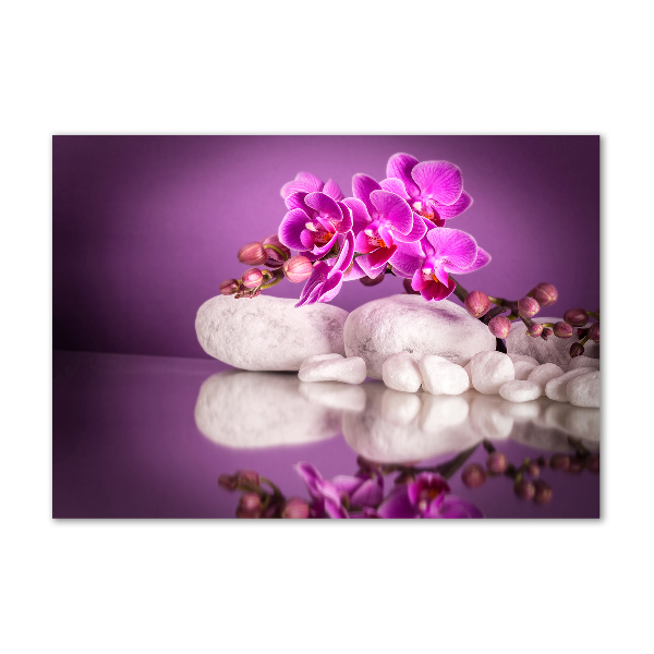 Quadro su vetro Orchidea rosa
