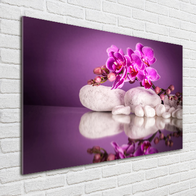 Quadro su vetro Orchidea rosa