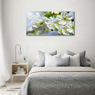 Quadro vetro Fiori di ciliegio