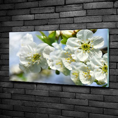 Quadro vetro Fiori di ciliegio