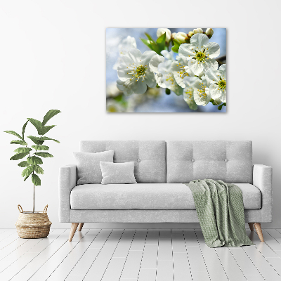 Quadro vetro Fiori di ciliegio