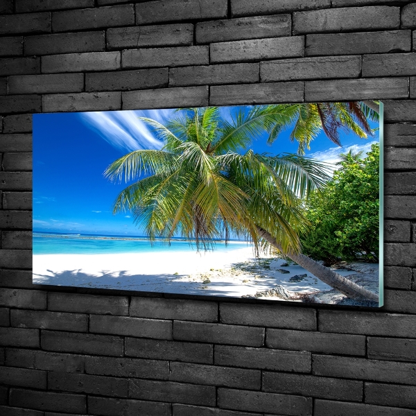 Quadro vetro Spiaggia tropicale