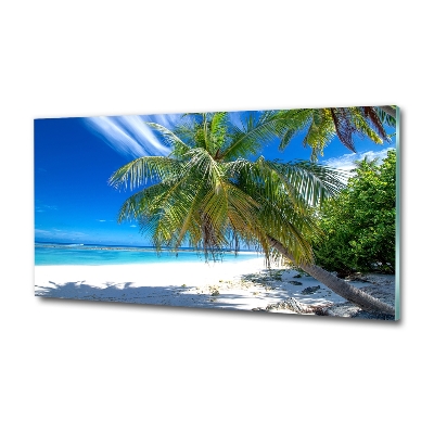 Quadro vetro Spiaggia tropicale
