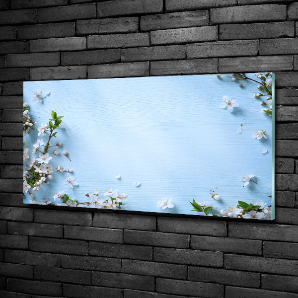 Quadro in vetro Sfondo con fiori di ciliegio