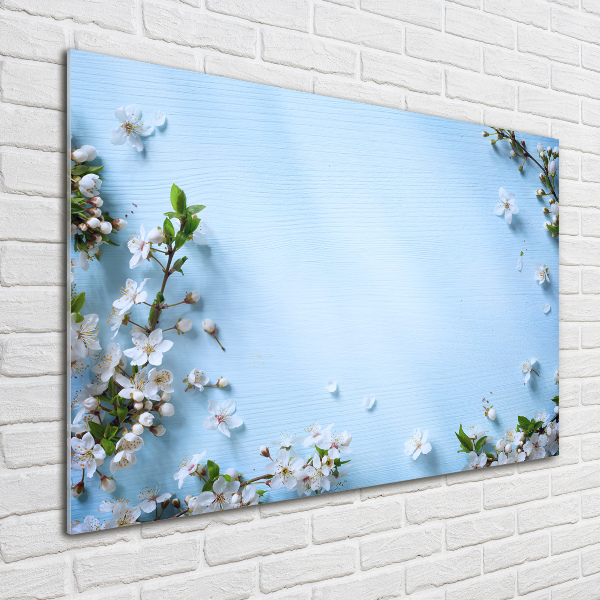 Quadro in vetro Sfondo con fiori di ciliegio