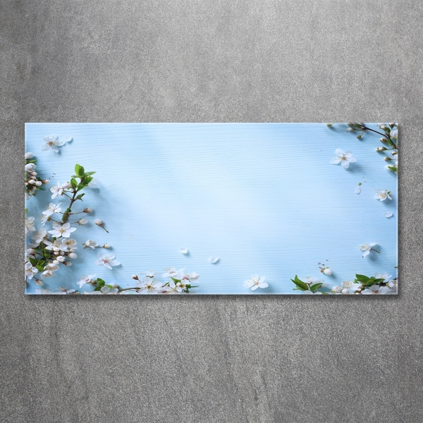 Quadro in vetro Sfondo con fiori di ciliegio