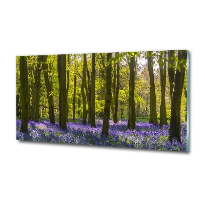Quadro su vetro Bosco in primavera